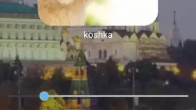 Captura de tela de Bluebird Russian 5