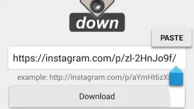 Captura de tela de Video Downloader for Instagram 4