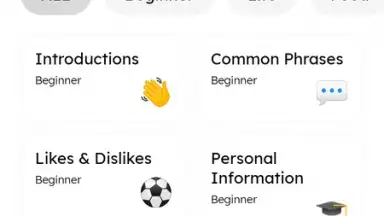 Captura de tela de Pingo AI 4
