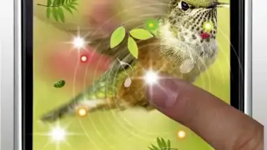Captura de tela de Colibri Spring 3D LWP 1