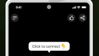 Captura de tela de Bear VPN 4