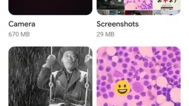 Captura de tela de Google Gallery 2