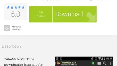 Captura de tela de Chrome Dev 4