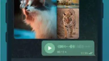 Captura de tela de TG Connect 4