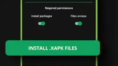 Captura de tela de XAPK Installer 5