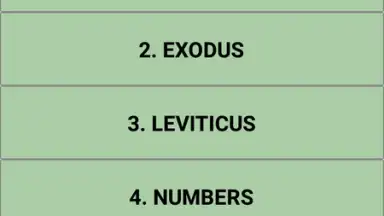 Captura de tela de The bible quiz game 4