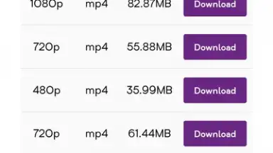Captura de tela de YT Video Downloader 1