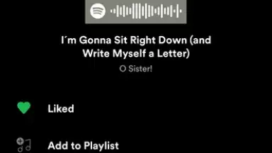 Captura de tela de Spotify 22