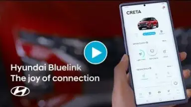 Captura de tela de Bluelink 1