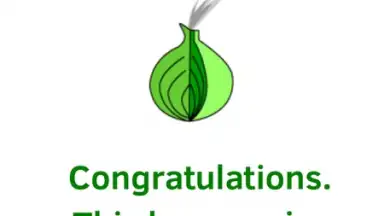 Captura de tela de Orfox: Tor Browser 10