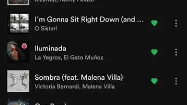 Captura de tela de Spotify 17