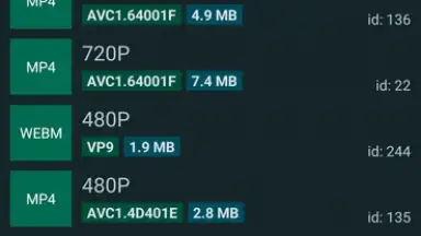 Captura de tela de YTDLnis 7
