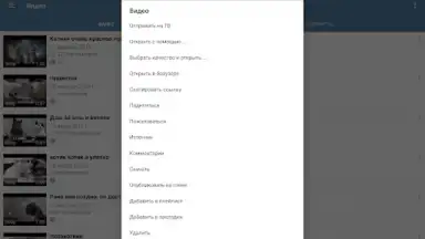 Captura de tela de Video App for VK 13