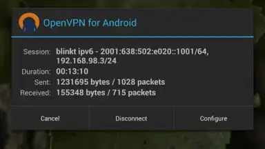 Captura de tela de OpenVPN 10