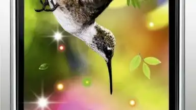 Captura de tela de Colibri Spring 3D LWP 3