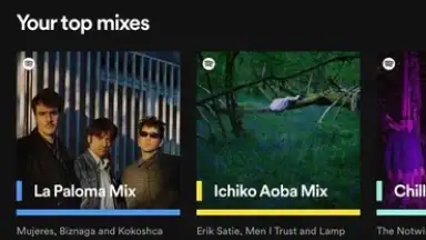 Captura de tela de Spotify 11