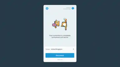 Captura de tela de hidemy.name VPN 10