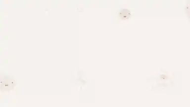 Captura de tela de AsapChat for Facebook Chat 2