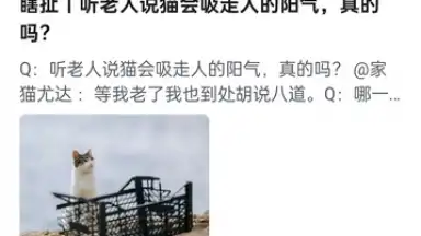 Captura de tela de Zhihu 13