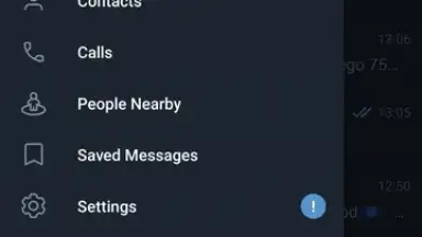 Captura de tela de Telegram (Google Play version) 1