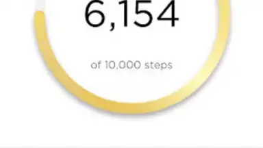 Captura de tela de Michael Kors Access 3