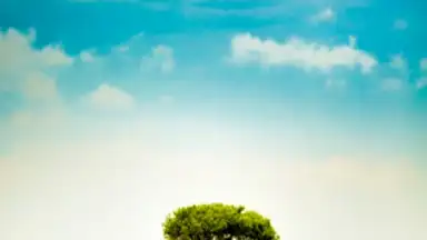 Captura de tela de Cute Weather Widget 2