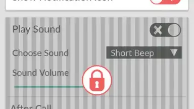Captura de tela de Call Recorder - callX 3