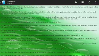Captura de tela de Holy Bible King James Version 10