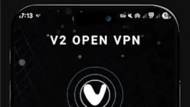 Captura de tela de V2 VPN 4