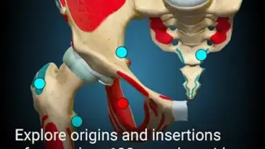 Captura de tela de 3D Anatomy Learning 2