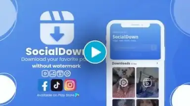 Captura de tela de SocialDown: no watermark 1