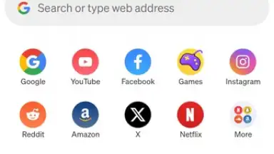 Captura de tela de Phoenix Browser 1