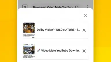 Captura de tela de Vidora YouTube Downloader | free & fast 11