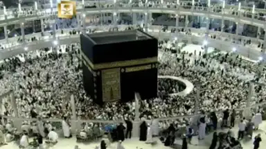 Captura de tela de Halal Check 4