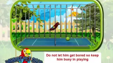 Captura de tela de Parrot Pet Shop 2
