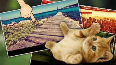 Captura de tela de Find Kitten 2