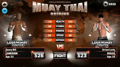 Captura de tela de Muay Thai - Fighting Origins 4