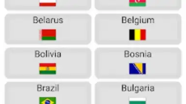 Captura de tela de World Football Simulator 13