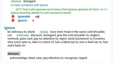 Captura de tela de Reverso Translation Dictionary 21