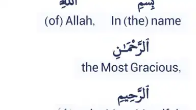 Captura de tela de Halal Check 3