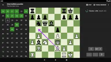 Captura de tela de Chess Tactics Pro 8
