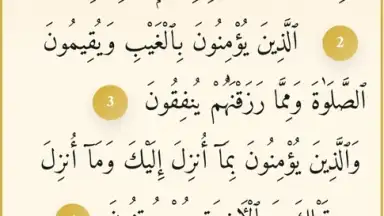 Captura de tela de Noor Islam 5