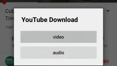 Captura de tela de YouTube Download 2