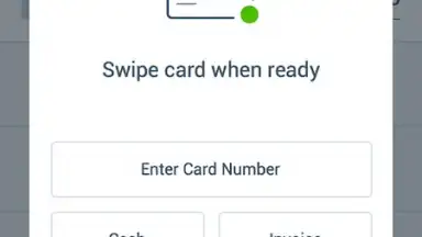 Captura de tela de PayPal Here 3