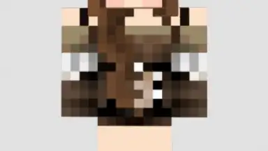 Captura de tela de Skins For Minecraft 2