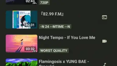 Captura de tela de YTDLnis 5