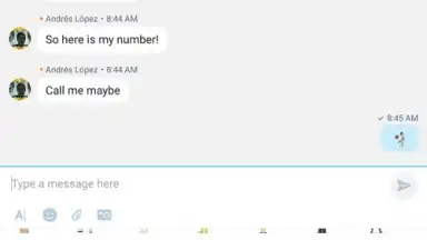 Captura de tela de Skype Lite 13