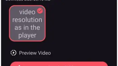 Captura de tela de VidMad Video Downloader 3