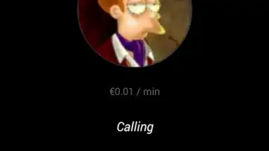 Captura de tela de Hangouts Dialer 4