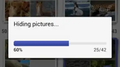 Captura de tela de Gallery Plus - Hide Pictures 1